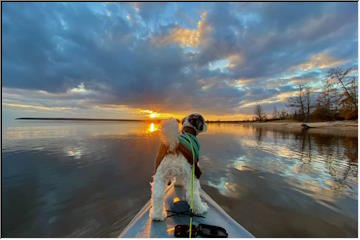 November Kayaking