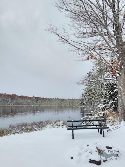 Photo by Cathy McKenzie
