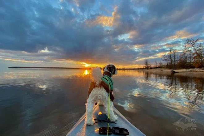 Photo by Jeff Dennis