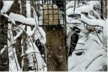 Winter returns