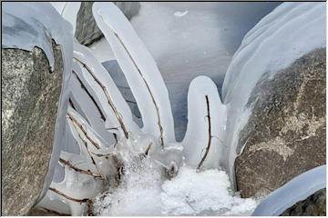 Bucky's icy art