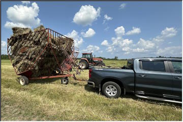 Haying Time
