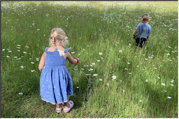 Summer gardening