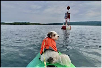 Fritz kayaking in the Harbor