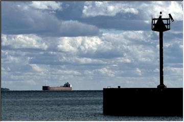 Safe Harbor - Bete Grise