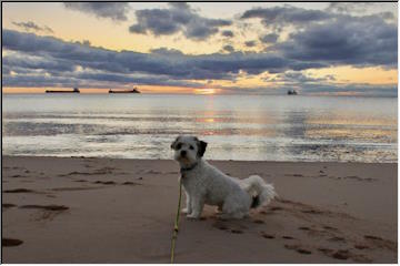 Sheltering Freighters
