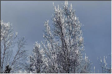 Winter sparkle