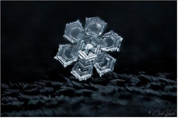 Macro snowflake photos