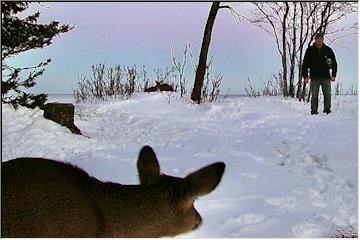 Animal and man encounters