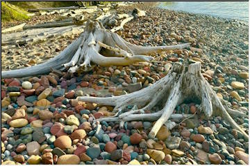 McLain State Park