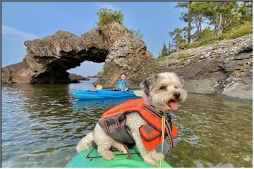 Fritz adventures