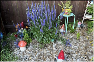 Summer garden