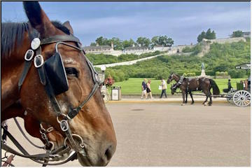 Horses on Mackinac Island