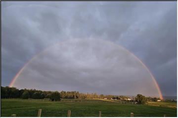 Rainbow and colored leaves