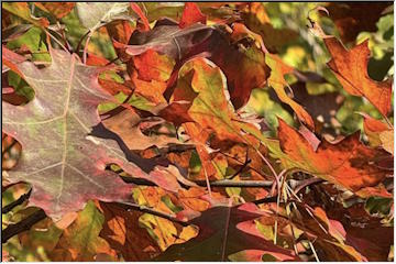 Fall in the Copper Country