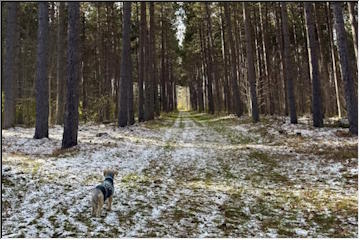 First snow exploring