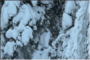 Driving on Rice Lake Road