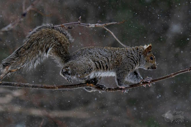 Photo by Kevin Dunham