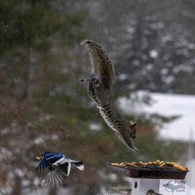 Photo by Kevin Dunham