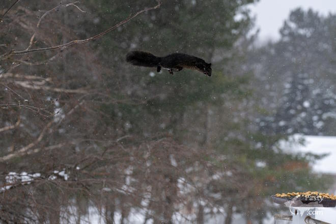 Photo by Kevin Dunham