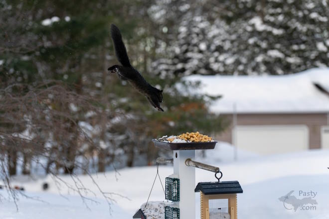 Photo by Kevin Dunham