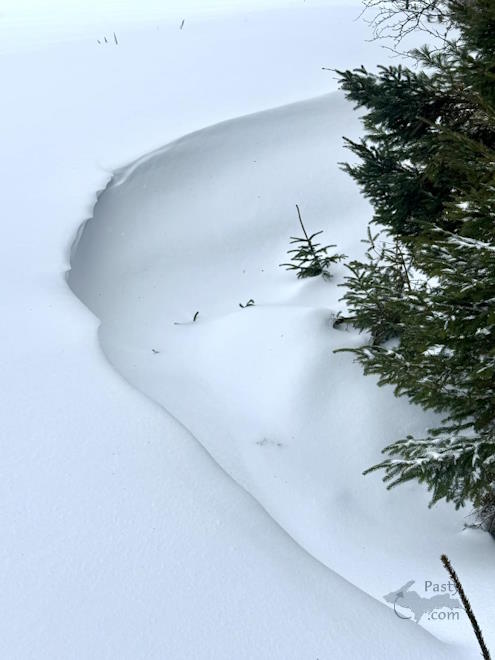 Photo by Melanie Hakala Rossi