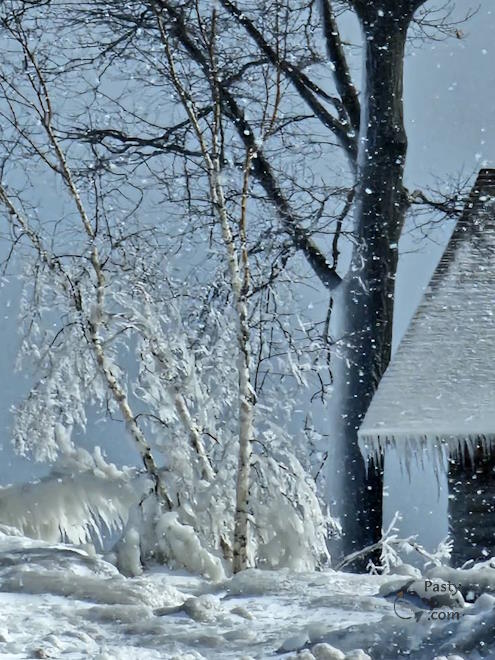 Photo by Laurie Bashaw
