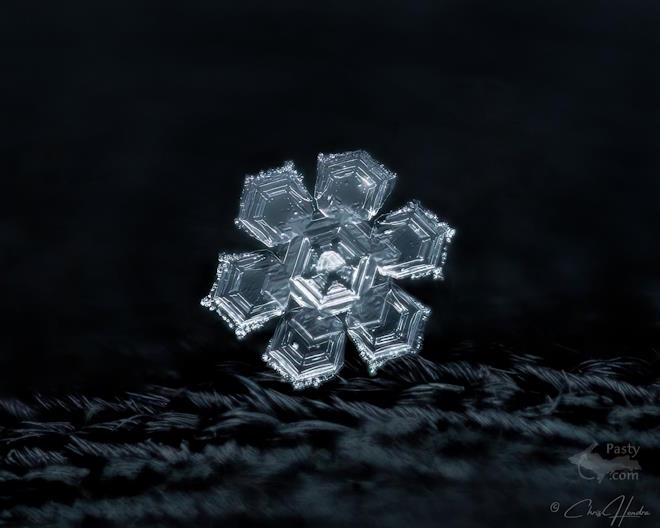 Photo by Chris Hendra