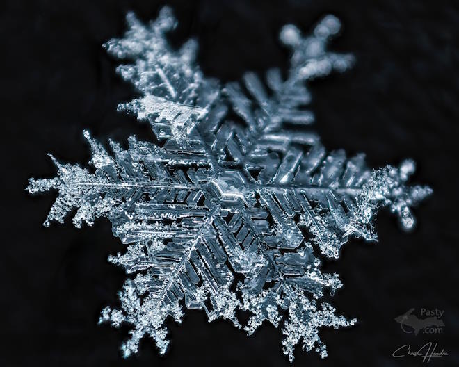 Photo by Chris Hendra