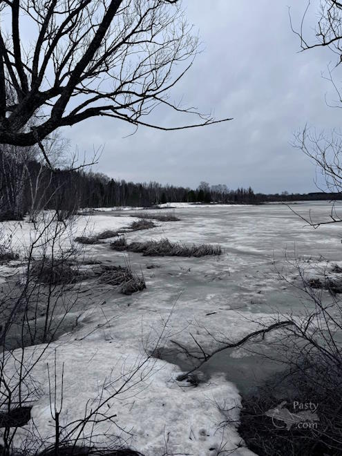 Photo by Judy Byykkonen