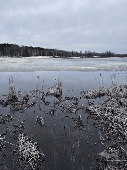 Photo by Judy Byykkonen