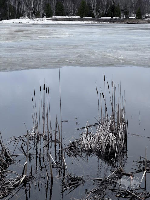 Photo by Judy Byykkonen