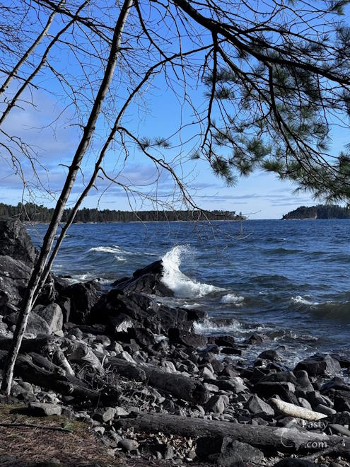Photo by Judy Byykkonen