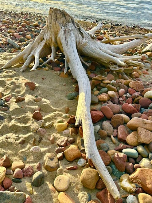 Photo by H Donn de Yampert
