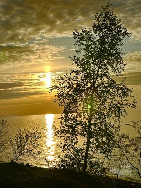 Photo by H Donn de Yampert