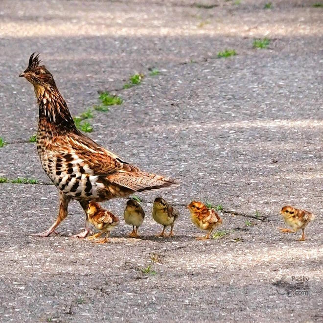 Photo by Nancy Haun