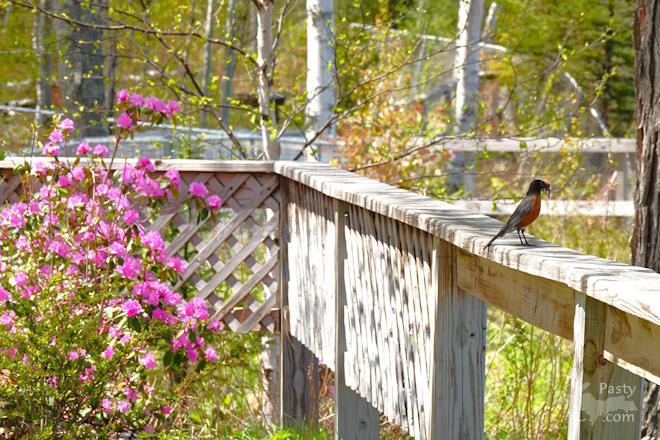 Photo by Nancy Haun