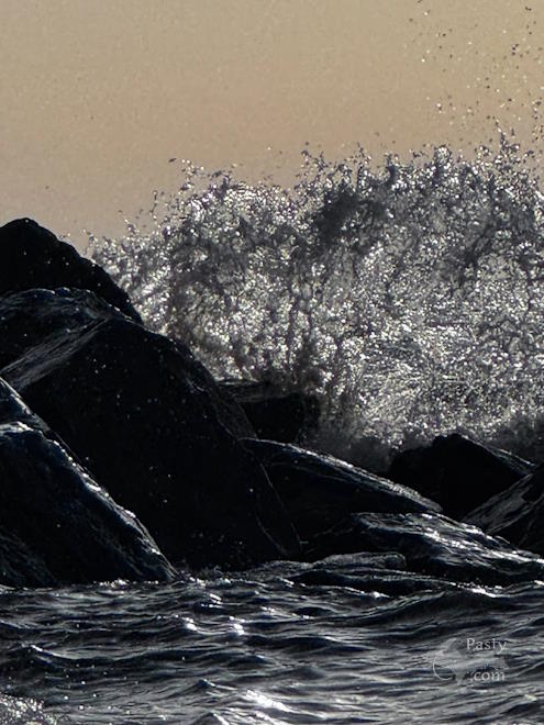 Photo by Judy Byykkonen
