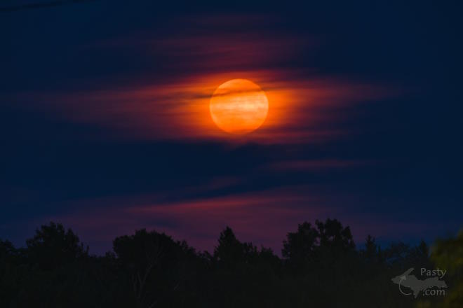 Photo by Kevin Dunham