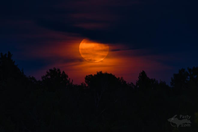 Photo by Kevin Dunham