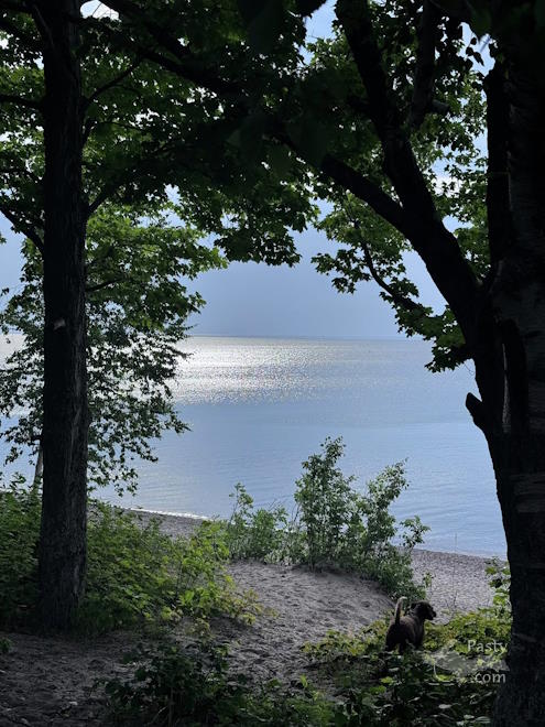 Photo by Judy Byykkonen 