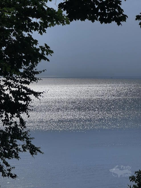 Photo by Judy Byykkonen 