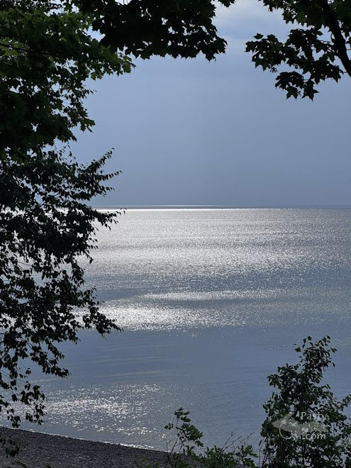 Photo by Judy Byykkonen 