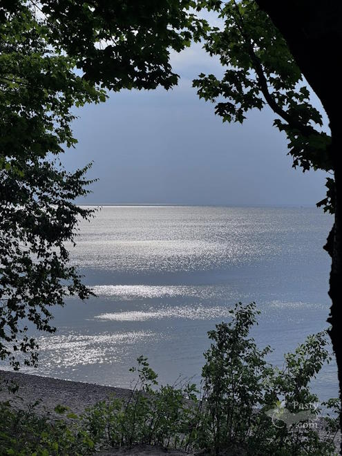 Photo by Judy Byykkonen 