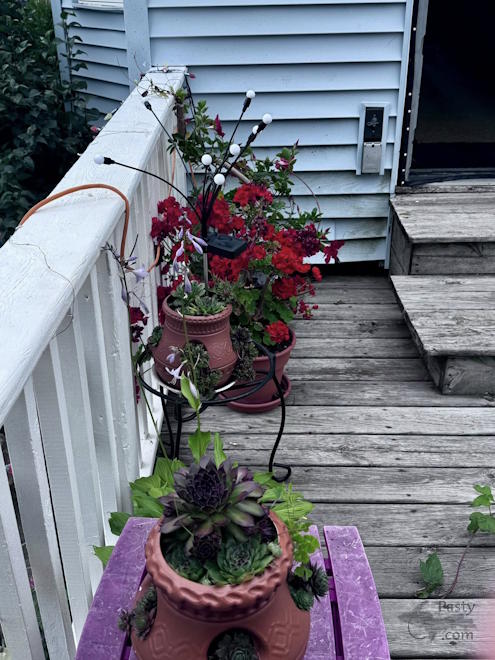 Photo by Judy Byykkonen