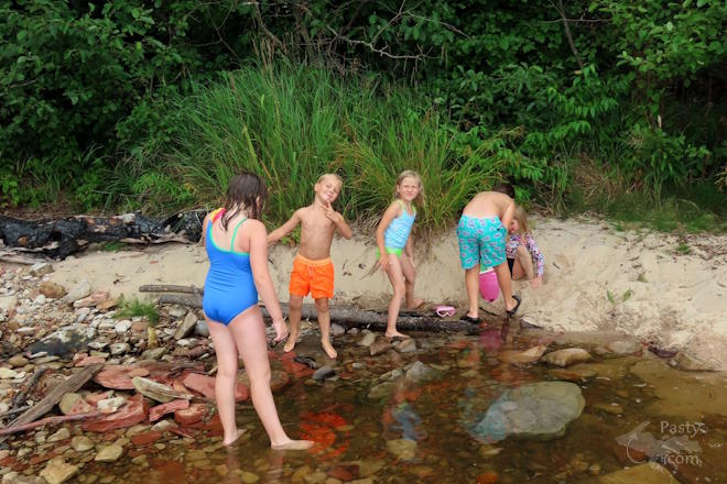 Photo by Debbie Jarve