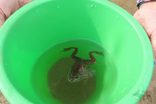 Photo by Debbie Jarve