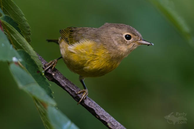 Photo by Kevin Dunham