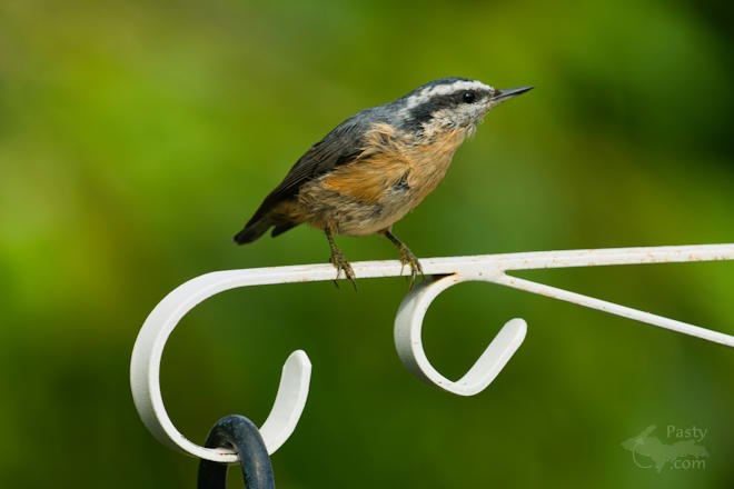 Photo by Kevin Dunham