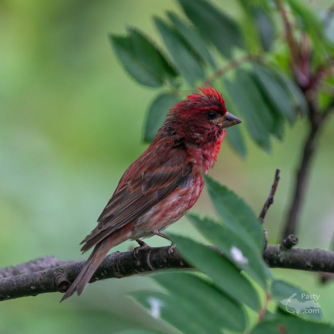 Photo by Kevin Dunham